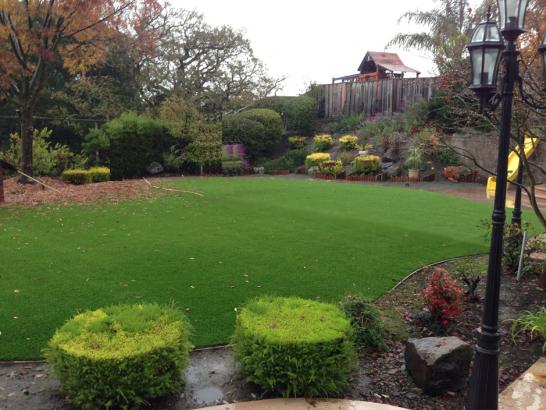Artificial Grass Photos: Grass Carpet Harleigh, Pennsylvania Lawns, Backyard Garden Ideas