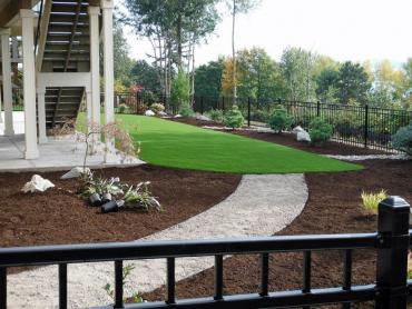 Artificial Grass Photos: Grass Carpet King of Prussia, Pennsylvania Garden Ideas, Backyard Landscape Ideas