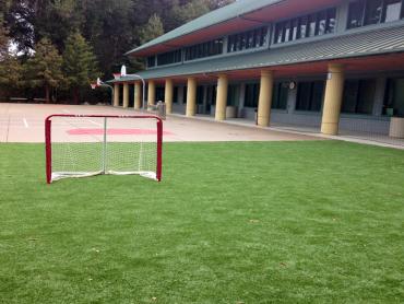 Artificial Grass Photos: Grass Carpet Lancaster, Pennsylvania Red Turf, Commercial Landscape