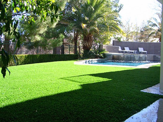 Artificial Grass Photos: Grass Carpet Malvern, Pennsylvania Rooftop, Natural Swimming Pools