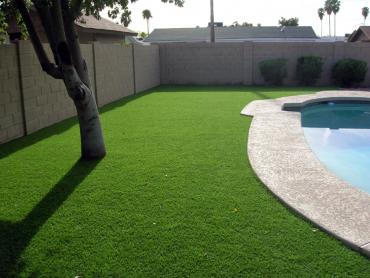 Artificial Grass Photos: Grass Carpet Mountville, Pennsylvania Landscape Photos, Backyard Ideas