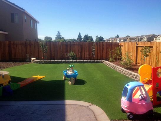 Artificial Grass Photos: Grass Carpet Oberlin, Pennsylvania Kids Indoor Playground, Backyard