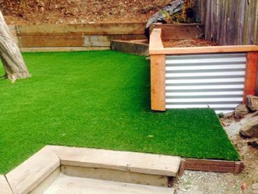 Artificial Grass Photos: Grass Carpet Palmerton, Pennsylvania Landscape Design, Backyard