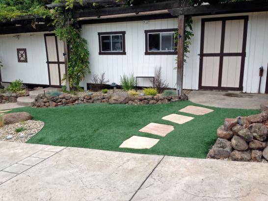 Artificial Grass Photos: Grass Carpet Ravine, Pennsylvania Garden Ideas, Front Yard Landscaping