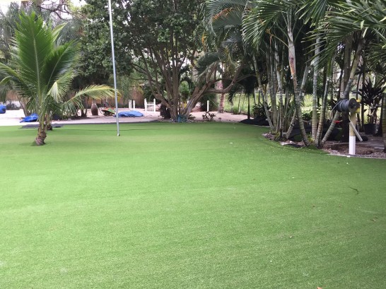 Artificial Grass Photos: Grass Carpet Schwenksville, Pennsylvania Backyard Playground, Commercial Landscape