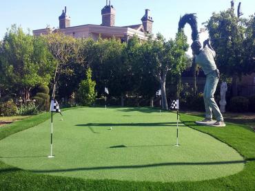 Artificial Grass Photos: Grass Carpet Washington Boro, Pennsylvania Putting Green Turf, Backyard Garden Ideas