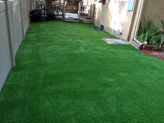 Artificial Grass Photos: Grass Installation Berwick, Pennsylvania Backyard Deck Ideas, Backyard Garden Ideas