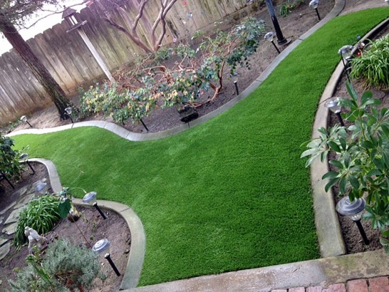 Artificial Grass Photos: Grass Installation Cornwells Heights, Pennsylvania Landscape Photos, Backyard Ideas