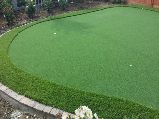 Artificial Grass Photos: Grass Installation Philadelphia, Pennsylvania How To Build A Putting Green, Backyards