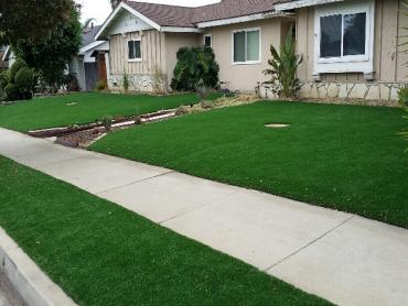 Artificial Grass Photos: Grass Installation Quentin, Pennsylvania Landscape Design, Front Yard Design