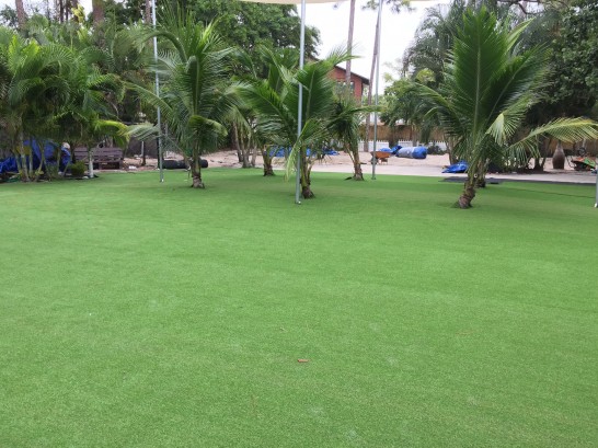 Artificial Grass Photos: Grass Installation Woxall, Pennsylvania Garden Ideas, Commercial Landscape