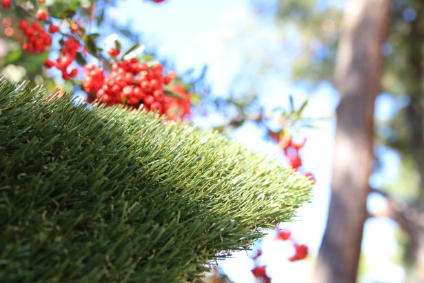 Residential Plastic Grass