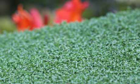 Artificial Putting Green