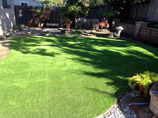 Artificial Grass Photos: Grass Turf Ambler, Pennsylvania Dog Grass, Backyard Landscaping Ideas