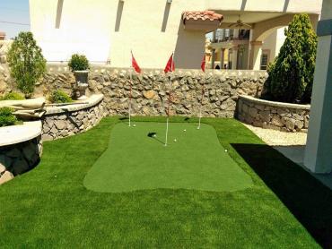 Artificial Grass Photos: Grass Turf Eastlawn Gardens, Pennsylvania Landscaping, Backyard Garden Ideas