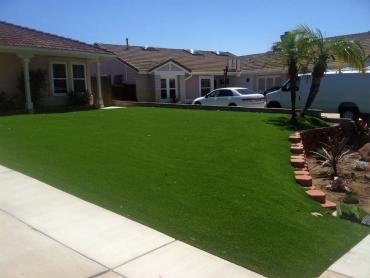 Artificial Grass Photos: Grass Turf Emmaus, Pennsylvania Rooftop, Landscaping Ideas For Front Yard