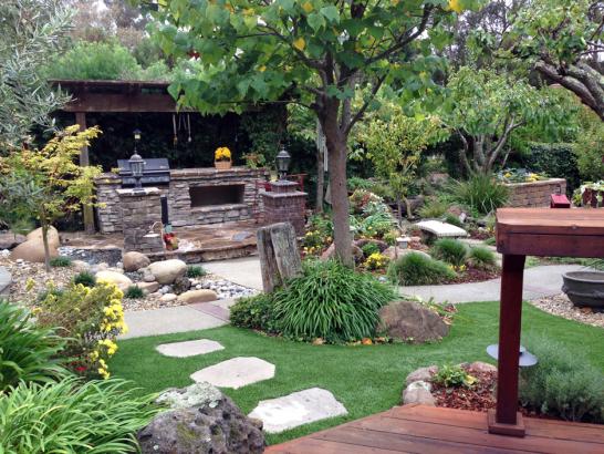 Artificial Grass Photos: Grass Turf Fountain Springs, Pennsylvania Backyard Playground, Backyard Makeover