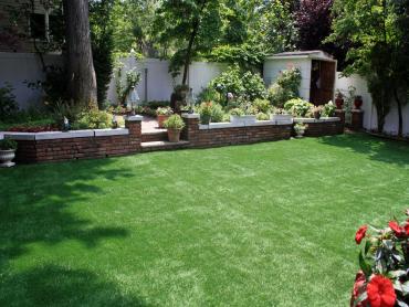 Artificial Grass Photos: Grass Turf Kutztown, Pennsylvania Landscape Design, Backyard Designs