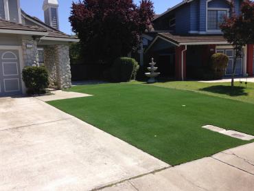 Artificial Grass Photos: Grass Turf New Berlinville, Pennsylvania Backyard Playground, Landscaping Ideas For Front Yard