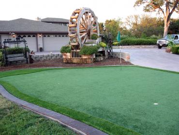 Artificial Grass Photos: Grass Turf Port Clinton, Pennsylvania Gardeners, Front Yard Landscaping Ideas