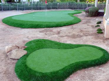 Artificial Grass Photos: Grass Turf Reinholds, Pennsylvania Artificial Putting Greens, Front Yard Landscaping