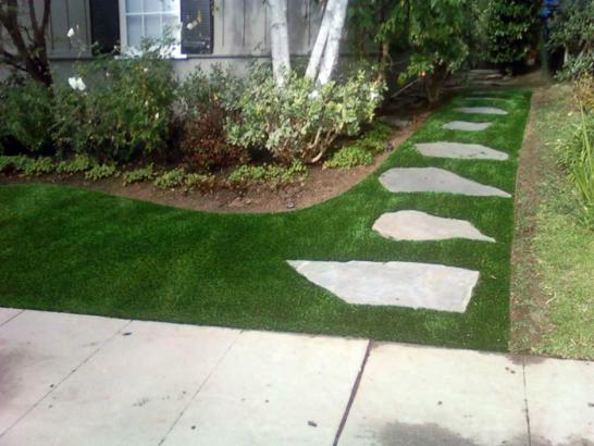 Artificial Grass Photos: Grass Turf Ringtown, Pennsylvania Landscaping, Small Front Yard Landscaping