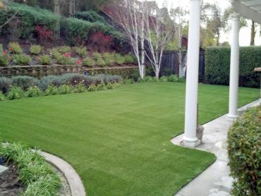 Artificial Grass Photos: Grass Turf Soudersburg, Pennsylvania Artificial Turf For Dogs, Beautiful Backyards