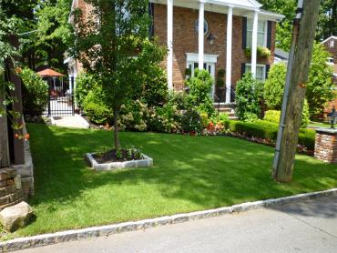 Artificial Grass Photos: Grass Turf West Easton, Pennsylvania City Landscape, Front Yard Landscaping Ideas