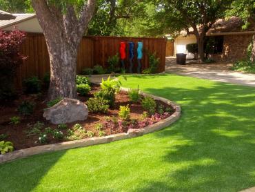 Artificial Grass Photos: Grass Turf Wyomissing Hills, Pennsylvania Garden Ideas, Backyard Makeover