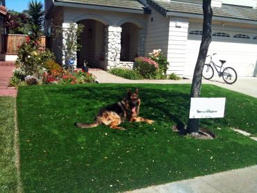 Artificial Grass Photos: Green Lawn Brookhaven, Pennsylvania Drainage, Dogs Park