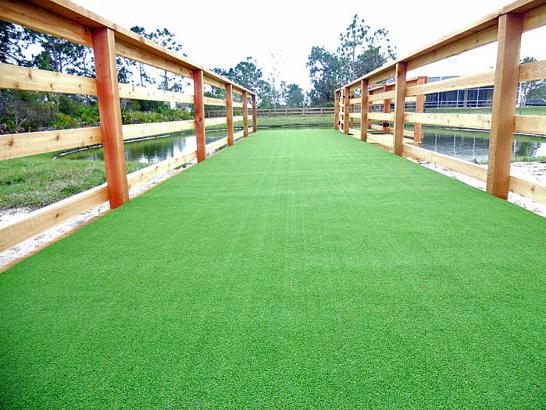 Artificial Grass Photos: Green Lawn Heckscherville, Pennsylvania Dog Pound, Commercial Landscape