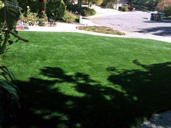 Artificial Grass Photos: Green Lawn Hershey, Pennsylvania Backyard Deck Ideas, Front Yard