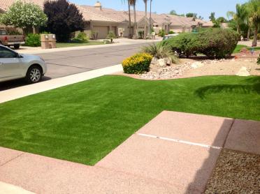 Artificial Grass Photos: Green Lawn Jonestown, Pennsylvania Design Ideas, Front Yard Landscaping