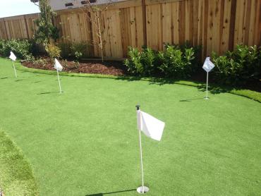 Artificial Grass Photos: Green Lawn Myerstown, Pennsylvania Indoor Putting Greens, Backyard Landscaping