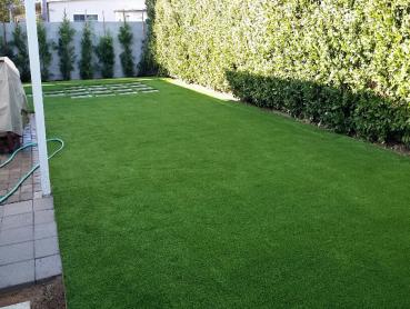 Artificial Grass Photos: Green Lawn Nesquehoning, Pennsylvania Dog Grass, Pavers