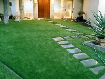 Artificial Grass Photos: How To Install Artificial Grass Cressona, Pennsylvania Landscape Photos, Front Yard Design