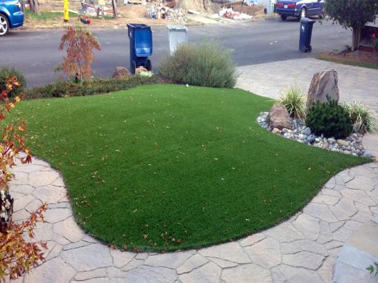 Artificial Grass Photos: How To Install Artificial Grass New Market, Pennsylvania Landscape Ideas