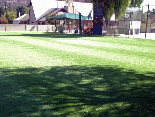 Artificial Grass Photos: How To Install Artificial Grass North York, Pennsylvania Lawn And Garden, Recreational Areas