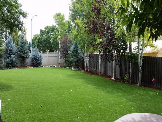 Artificial Grass Photos: How To Install Artificial Grass Tioga, Pennsylvania Dog Hospital, Backyard Landscape Ideas