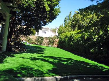 Artificial Grass Photos: Installing Artificial Grass Berwyn, Pennsylvania City Landscape, Backyard Designs