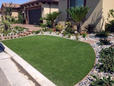 Artificial Grass Photos: Installing Artificial Grass Coatesville, Pennsylvania Landscape Ideas, Front Yard Landscaping Ideas