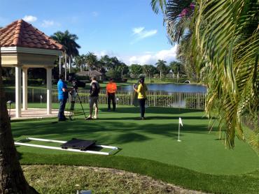 Artificial Grass Photos: Installing Artificial Grass Glenside, Pennsylvania Best Indoor Putting Green, Backyard Garden Ideas