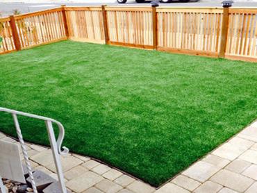 Artificial Grass Photos: Installing Artificial Grass Millersville, Pennsylvania Backyard Playground, Small Backyard Ideas