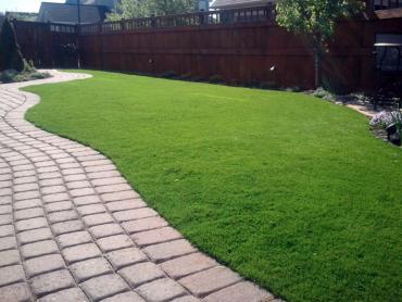 Artificial Grass Photos: Installing Artificial Grass Paoli, Pennsylvania Dog Park, Small Backyard Ideas