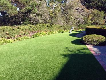 Artificial Grass Photos: Installing Artificial Grass Topton, Pennsylvania Landscaping, Small Front Yard Landscaping