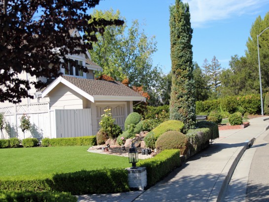 Artificial Grass Photos: Lawn Services Blue Bell, Pennsylvania Backyard Playground, Front Yard