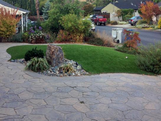 Artificial Grass Photos: Lawn Services Reinerton, Pennsylvania Design Ideas, Front Yard Design