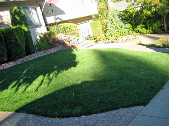 Artificial Grass Photos: Lawn Services Spry, Pennsylvania Backyard Playground, Front Yard Landscaping
