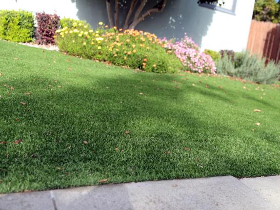 Artificial Grass Photos: Lawn Services Sugar Notch, Pennsylvania Landscape Design, Small Front Yard Landscaping