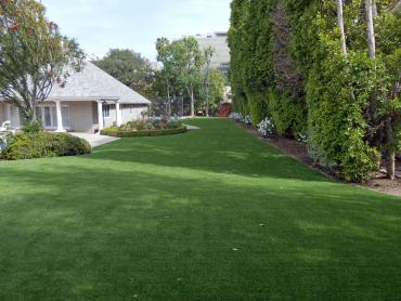 Artificial Grass Photos: Lawn Services Walnutport, Pennsylvania Pet Paradise, Front Yard Design